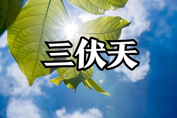 艾仲医