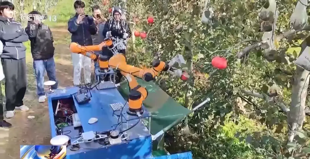 内容图片